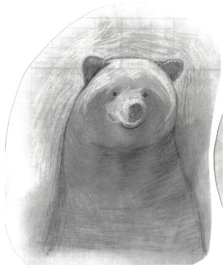 Grizzly (pencil) by Shaudawn